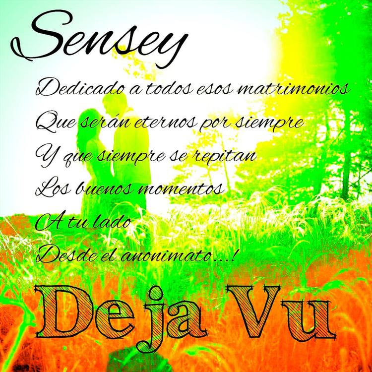 Sensey's avatar image