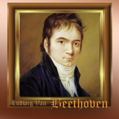 Symphony No 5 in C 1st Movement By Ludwig Van Beethoven's cover