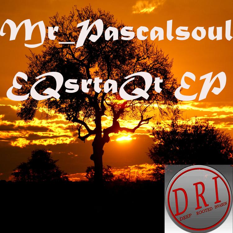 Mr_Pascalsoul's avatar image