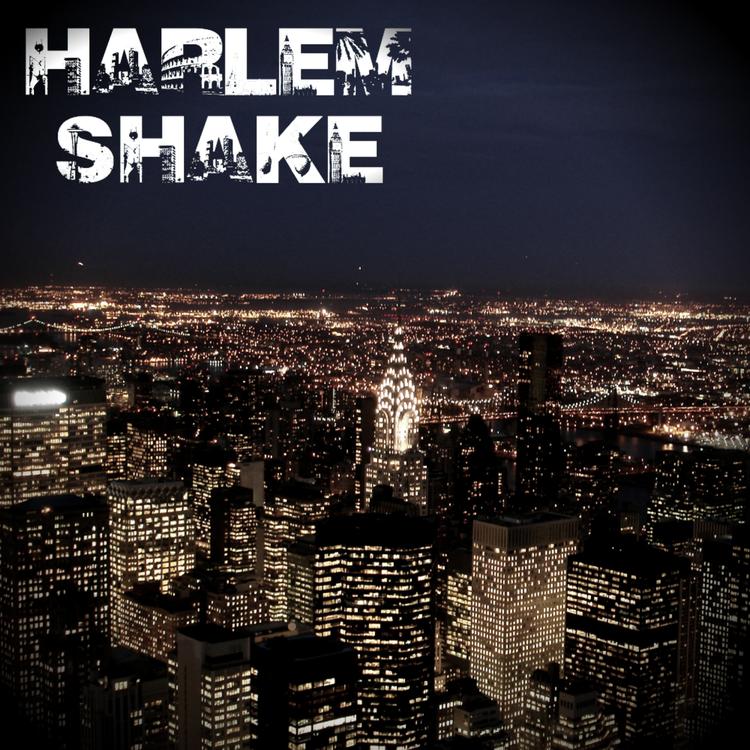 Harlem Shake Tribute's avatar image