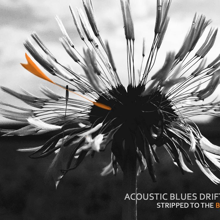 Acoustic Blues Drîfter's avatar image