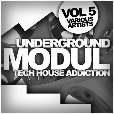 Underground Modul, Vol. 4: Tech House Addiction's cover