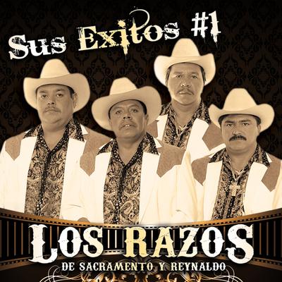 Sus Exitos #1's cover