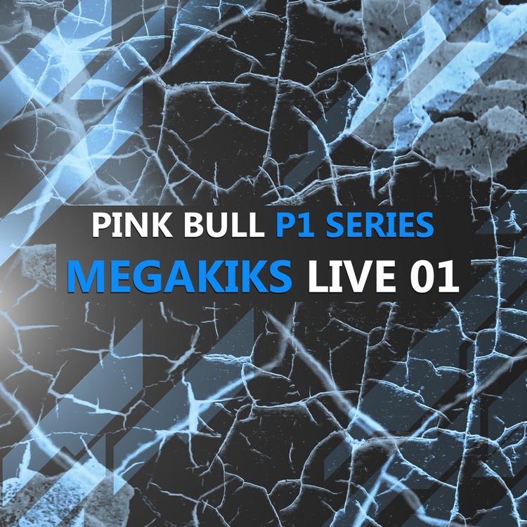 Pink Bull's avatar image