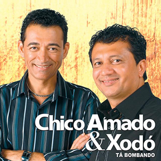 Chico Amado & Xodó's avatar image