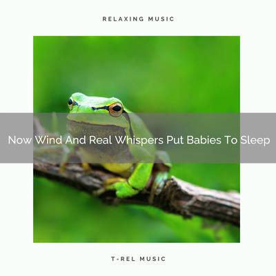 Now Wind And Real Whispers Put Babies To Sleep By Baby Sleep Music's cover