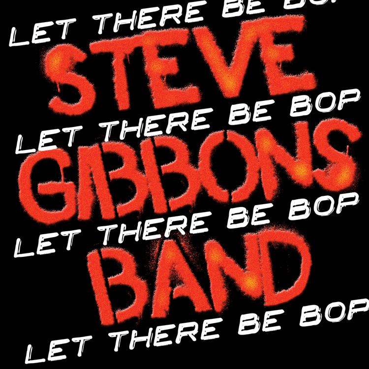 Steve Gibbons Band's avatar image