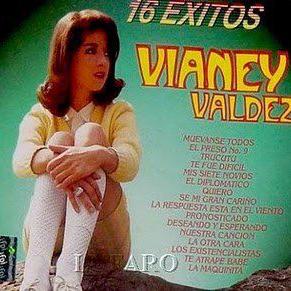Vianey Valdez's cover