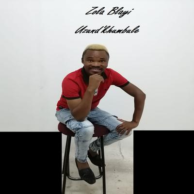 Ngembathise (Remix)'s cover