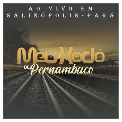 Solidão Demais (Ao Vivo) By Banda Meu Xodó De Pernambuco's cover