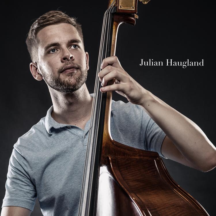 Julian Haugland's avatar image