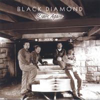 Black Diamond Band's avatar cover