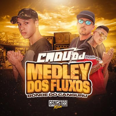 Medley dos Fluxos By Cadu DJ, Bonde Do Canguru's cover