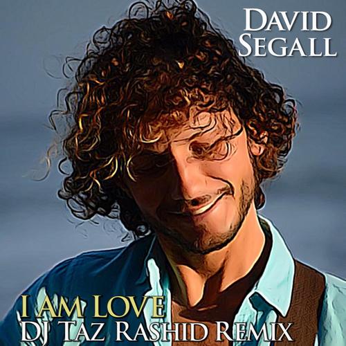 I Am Love Official TikTok Music - David Segall-DJ Taz Rashid ...