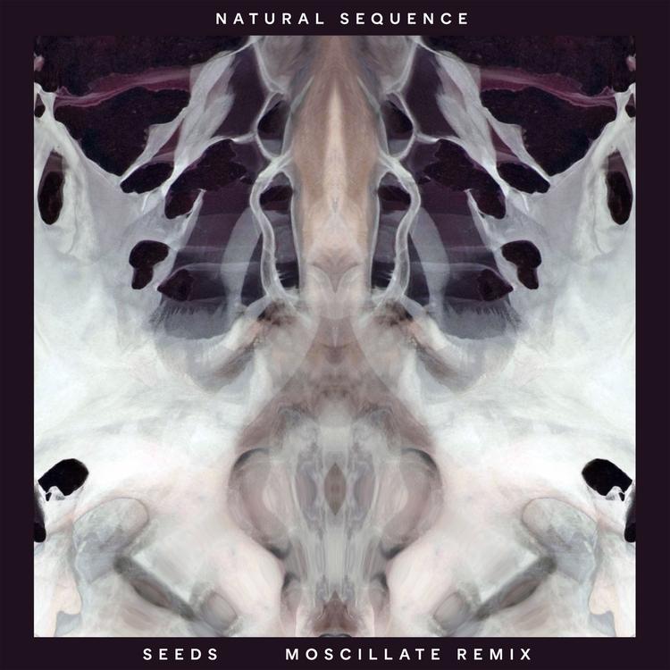 Natural Sequence's avatar image