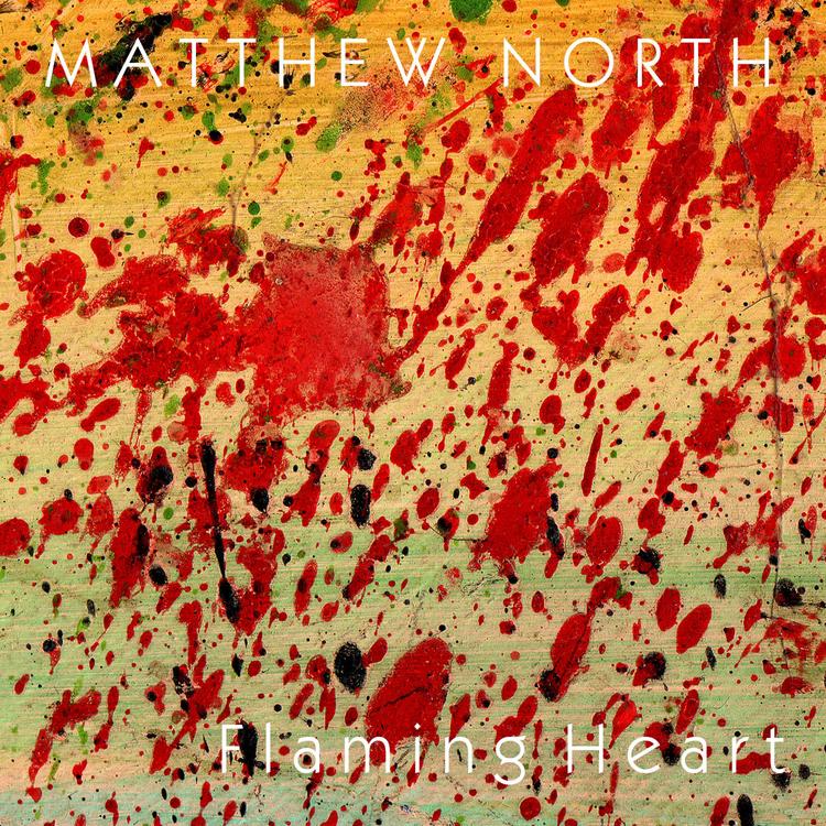 Matthew North's avatar image