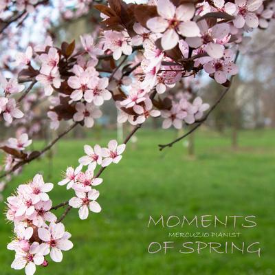 Moments Of Spring's cover