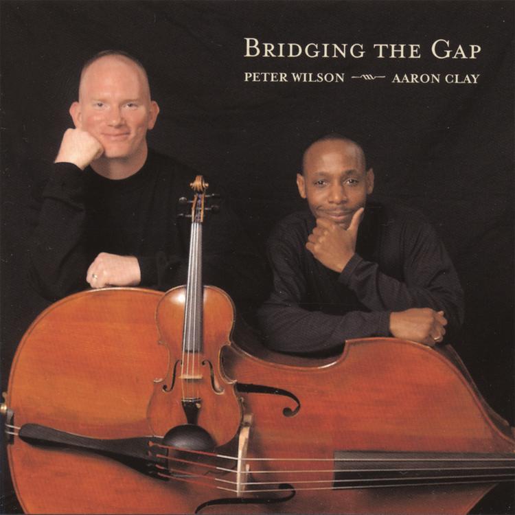 Bridging the Gap's avatar image