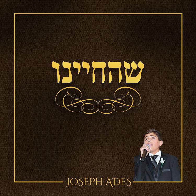 Joseph Ades's avatar image