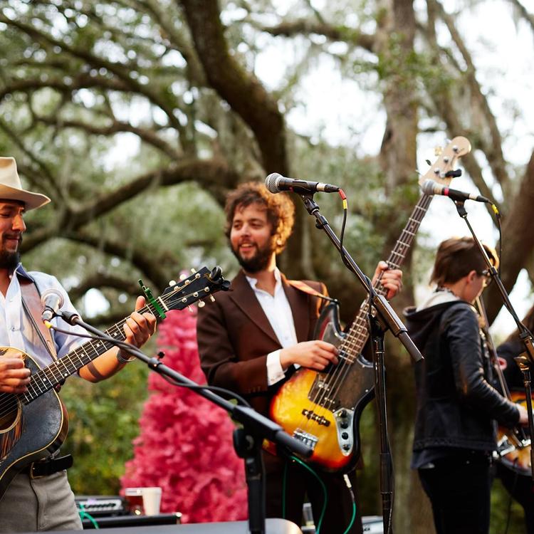 The Black Lillies's avatar image