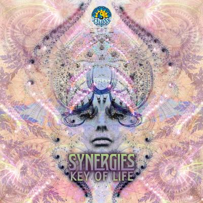 Synergies's cover