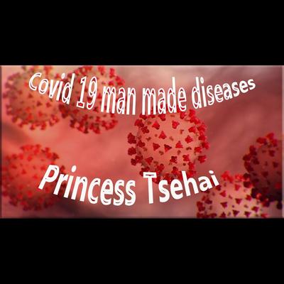 Princess Tsehai's cover