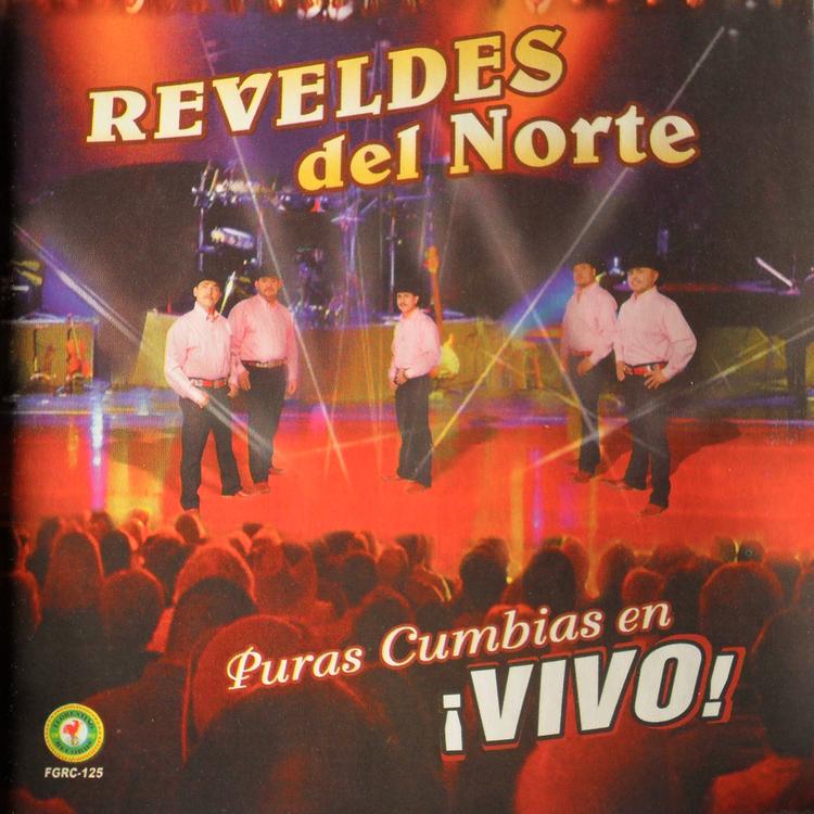 Reveldes Del Norte's avatar image