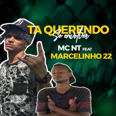 Ta Querendo Se Envolver By MC NT, Dj Marcelinho 22's cover