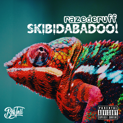 Skibidabadoo's cover