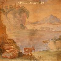 Vivaldi Ensemble's avatar cover