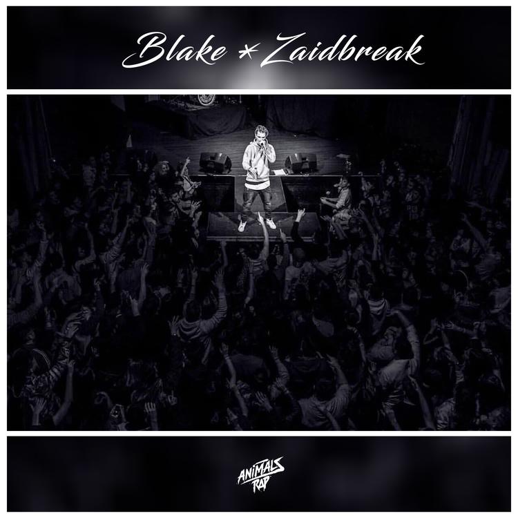 Blake & Zaidbreak's avatar image