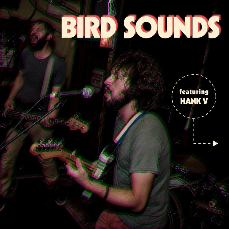 Bird Sounds's avatar image