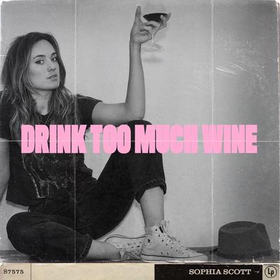 Drink Too Much Wine's cover