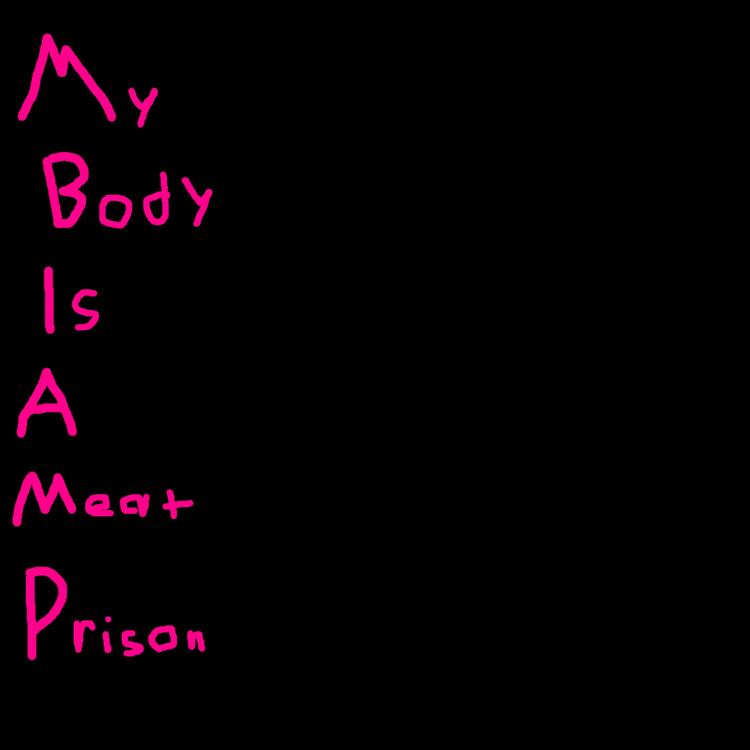 My Body Is a Meat Prison's avatar image