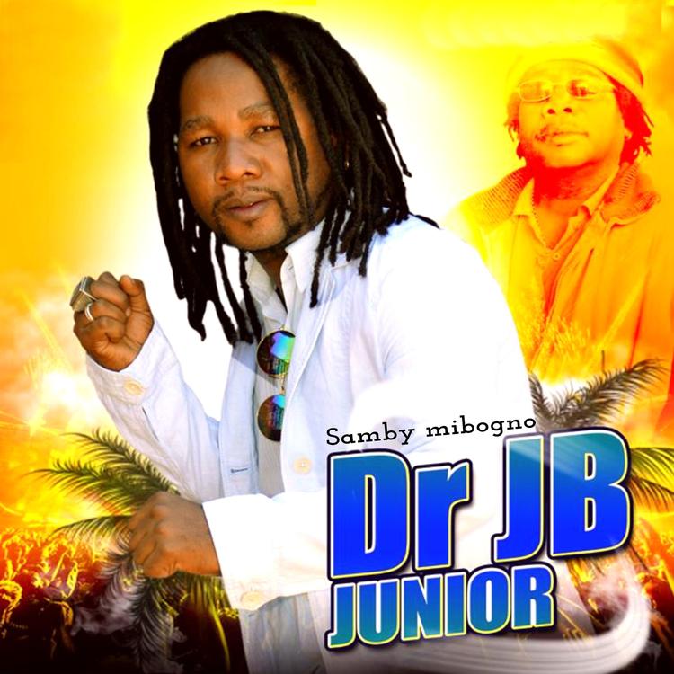 Dr JB Junior's avatar image