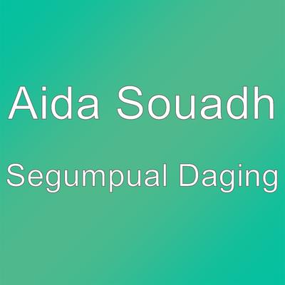 Aida Souadh's cover