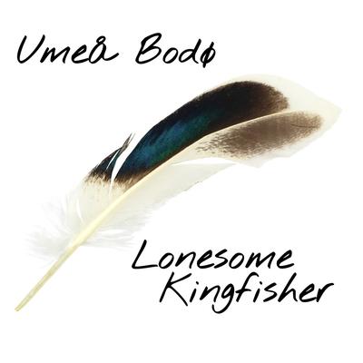 Lonesome Kingfisher By Umeå Bodø's cover