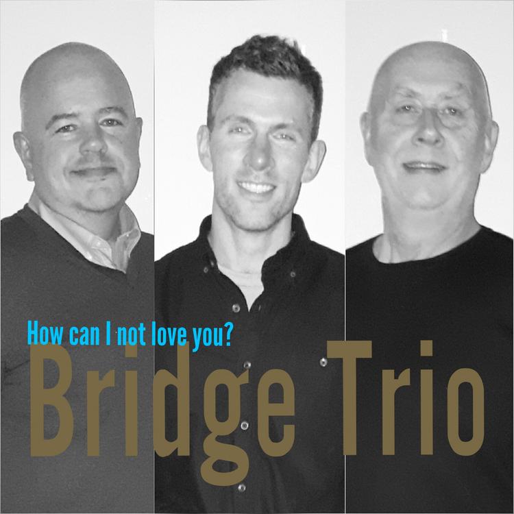 Bridge Trio's avatar image