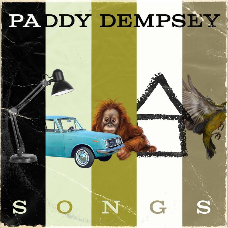 Paddy Dempsey's avatar image