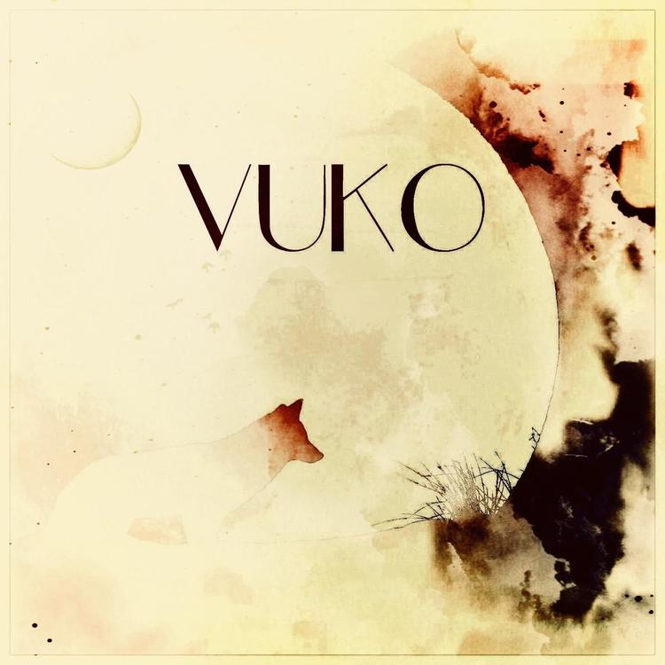 Vuko's avatar image