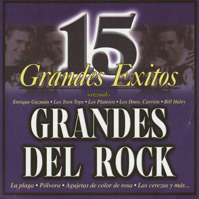 Grandes Éxitos de los 60's's cover