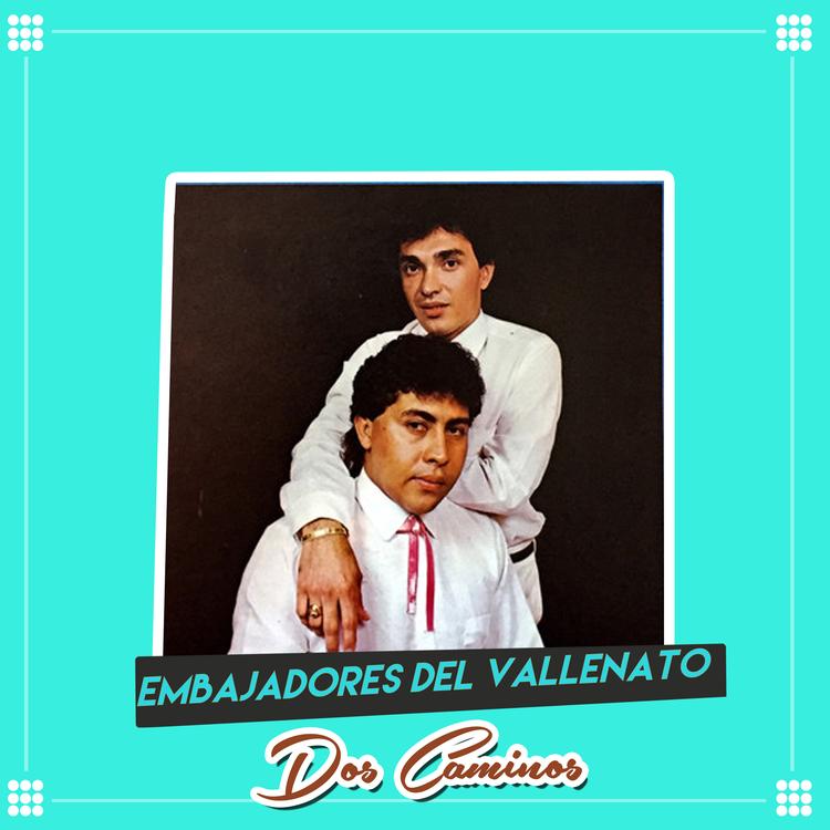 Embajadores del Vallenato's avatar image