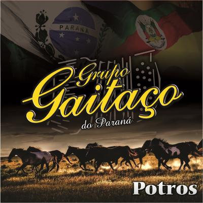 Rio Grande Meu Grito By Grupo Gaitaço do Paraná's cover