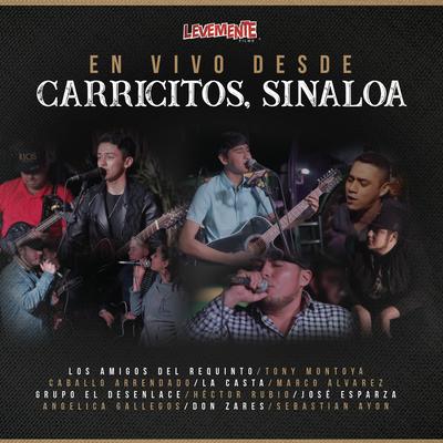 Levemente: En Vivo Desde Carricitos, Sinaloa's cover