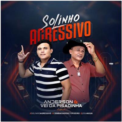 Forro Beijando (Ao Vivo) By Anderson & Vei da Pisadinha's cover
