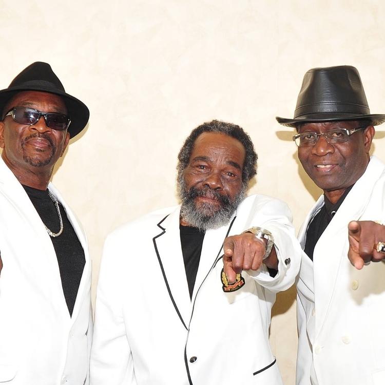 The Melodians's avatar image