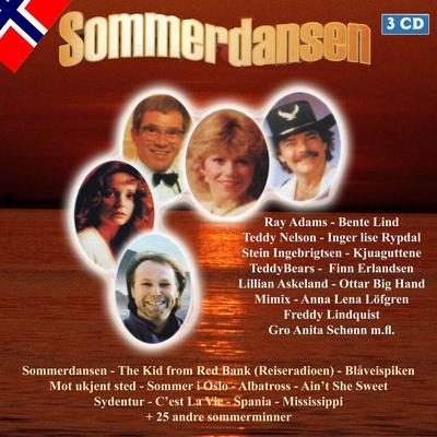 Det Er Sommeren Jeg Liker Best's cover