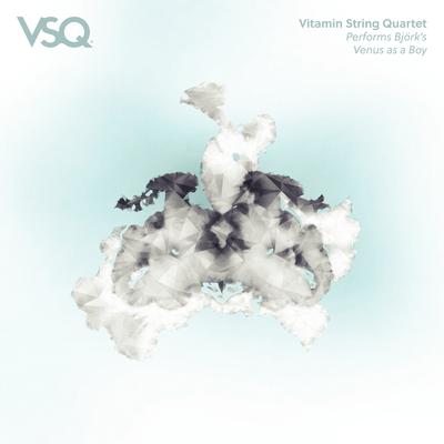 Venus As a Boy By Vitamin String Quartet's cover