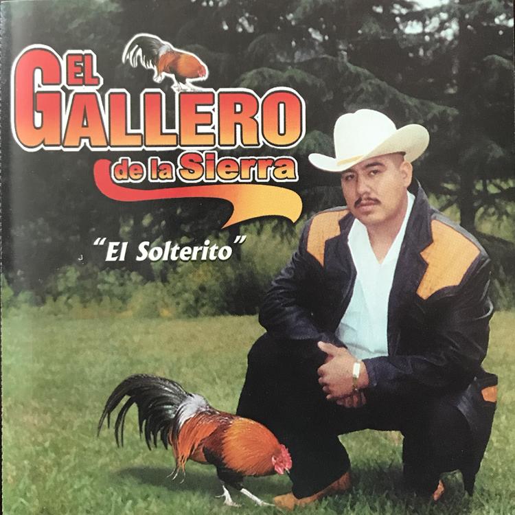 El Gallero de La Sierra's avatar image