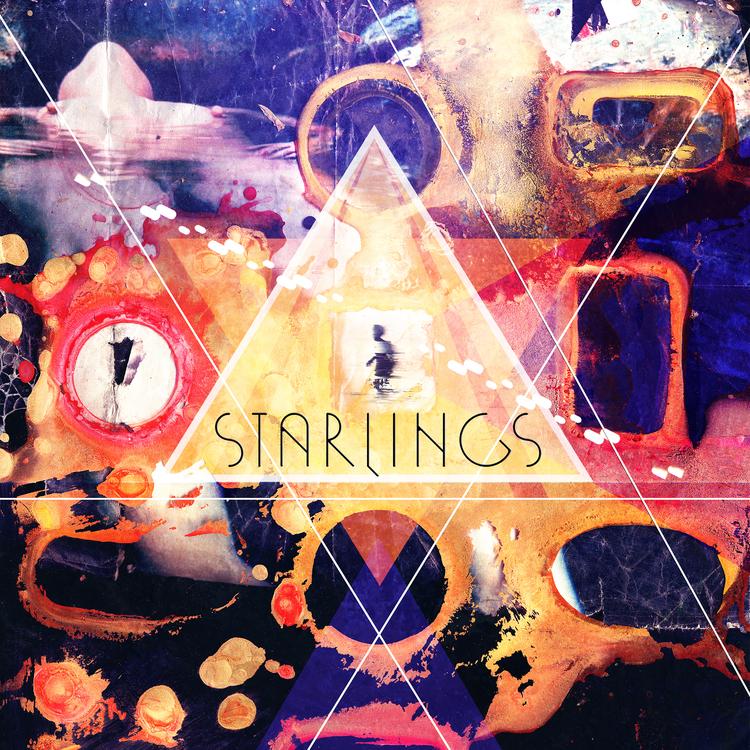 Starlings's avatar image